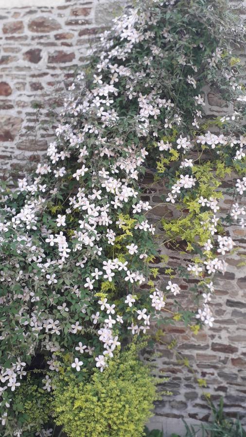 Gite Au Pre Du Mont St Michel Villa Villiers-le-Pre Luaran gambar